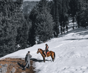 Saddle Up for the Adventure of a Lifetime: Pony Ride in Kashmir Awaits You